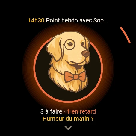 L'accueil de la montre : Newton dans un médaillon cerclé d'orange, le prochain rendez-vous au-dessus, les tâches et l'humeur dessous
